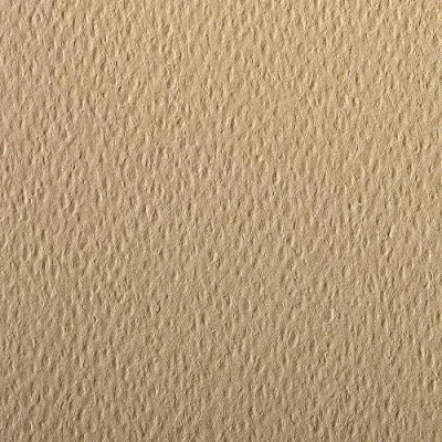 Afbeelding van Clairefontaine Ref 93866C Etival Gekleurd korrelig tekenpapier (Pack van 25 vellen) A4 (29,7 x 21cm) 160gsm Cellulose Art Paper Camel Zuurvrij, pH Neutraal