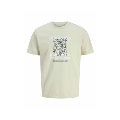 Afbeelding van Jack &amp; Jones Rundhalsausschnitt Tshirt print, Heren, Maat: Medium, Celadon tint