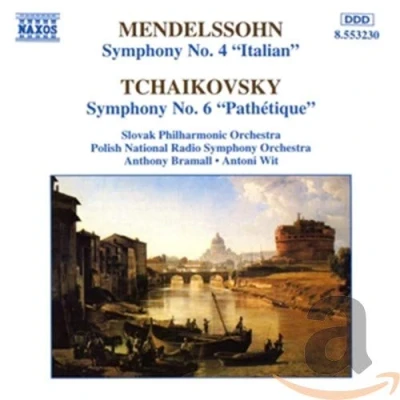 Afbeelding van Slovak Philharmonic Orchestra Symphony No.4/Symphony No.6 (CD)