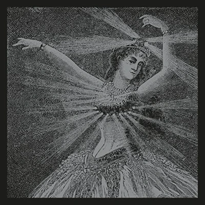 Afbeelding van Neutral Milk Hotel Collected Works of (9 LPs)
