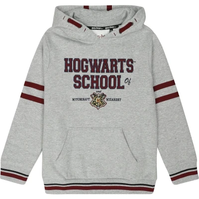 Afbeelding van Harry Potter Kids Hogwarts School Jongens &amp; meisjes Trui met capuchon meerkleurig 128