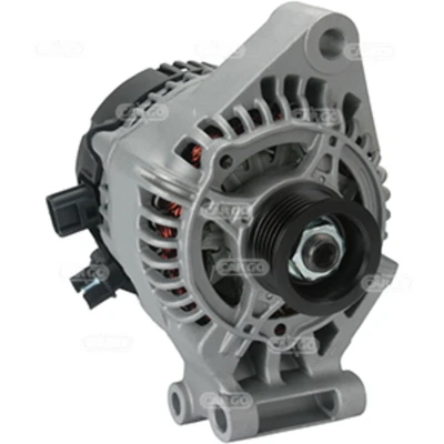 Afbeelding van Dynamo / Alternator HC CARGO 111795