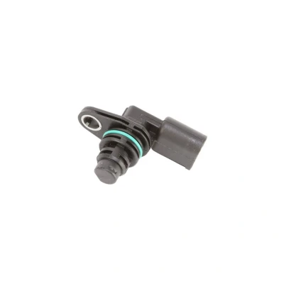 Afbeelding van Nokkenassensor DELPHI SS10773 12B1