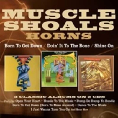 Afbeelding van Born to Get Down/Doin&#039; It the Bone/Shine On