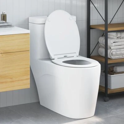 Afbeelding van vidaXL Snelsluiting Toiletbril met Zachte Sluiting Duroplast Wit