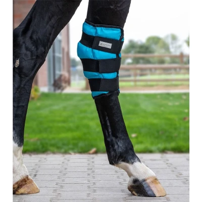 Afbeelding van Waldhausen Ice Boot Gel Spronggewricht Petrol Full