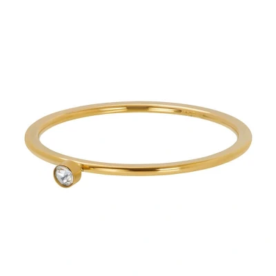 Afbeelding van Zirconia 1 stone crystal iXXXi Vulring mm Gold / 18