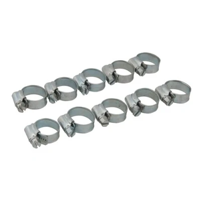 Afbeelding van Fixman Slangklem, 10 pak 12 20 mm (OO)