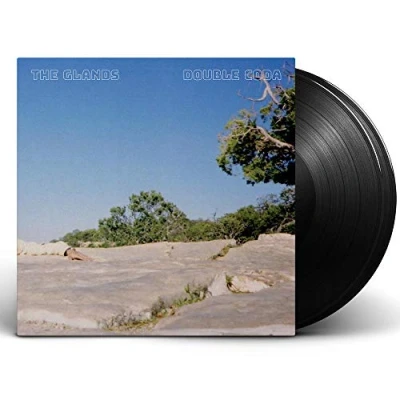 Afbeelding van Double Coda (LP)