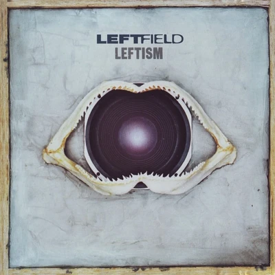 Afbeelding van Leftism