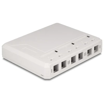Afbeelding van Delock Keystone Leergehäuse 6 Port für Glasfaser und Netzwerk weiß