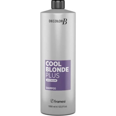 Afbeelding van Framesi Decolor B Cool Blonde Shampoo Plus 1000ml