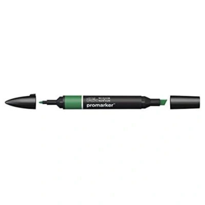 Afbeelding van Winsor and Newton Promarker Pine G635