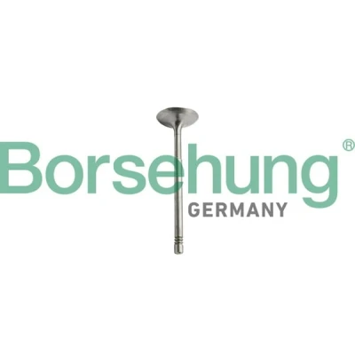 Afbeelding van Zuigerveerset Borsehung B10344