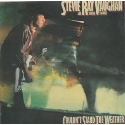 Afbeelding van Stevie Ray Vaughan Couldn&#039;t Stand the Weather (2 LPs)