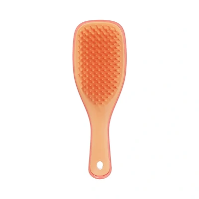 Afbeelding van Tangle Teezer Detagling Mini Haarborstel 1ST