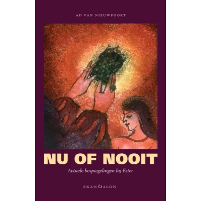Afbeelding van Nu of nooit (Paperback)
