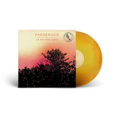 Afbeelding van Passenger All the Little Lights (LP)