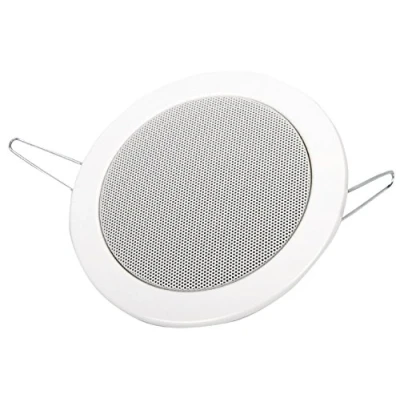 Afbeelding van Visaton DL 10 (RAL 9010) 100V 4 inch plafondluidspreker