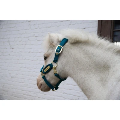 Afbeelding van Velvet halster smaragd shetland pony