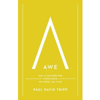 Afbeelding van Awe: Why It Matters for Everything We Think, Say, and Do (with Study Questions)