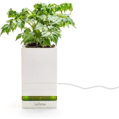 Afbeelding van Designnest LeGrow Snellaadpot 1 Pot / Type F (Europe)