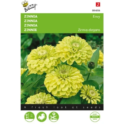 Afbeelding van Zinnia dahliabloemig Envy