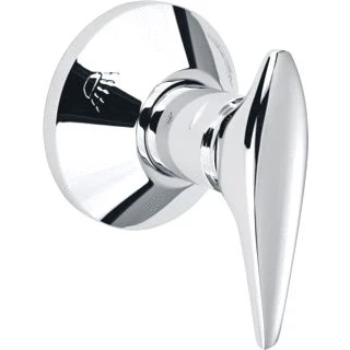 Afbeelding van Grohe hendel met huls en rozet chr. 45064000