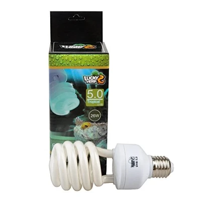 Afbeelding van Compacte fluorescentielamp voor UVA/UVB, 5.0, 13 W, 26 W
