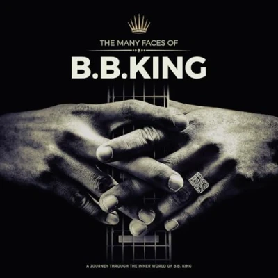 Afbeelding van B.B. King The Many Faces of (2 LPs)
