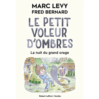 Afbeelding van Le Petit Voleur d&#039;ombres Tome 6 : La Nuit du grand orage Format souple