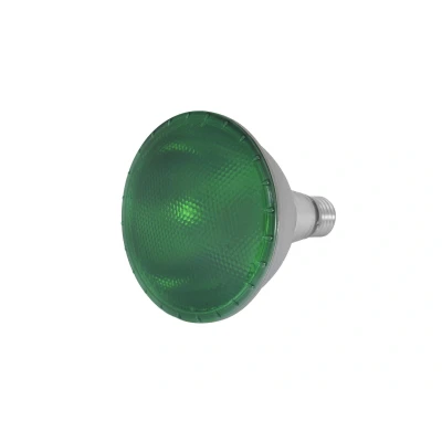 Afbeelding van Omnilux PAR 38 230V SMD 15W E 27 LED groen
