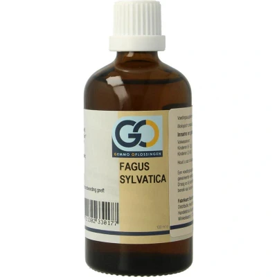 Afbeelding van Go Fagus Sylvatica Bio, 100 ml
