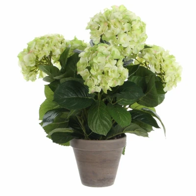 Afbeelding van Mica Decorations hortensia creme in pot stan grijs d13,5 45x45