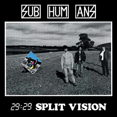 Afbeelding van 29:29 Split Vision