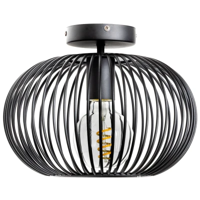 Afbeelding van ETH Plafondlamp Wire 2.0 Zwart 30 cm