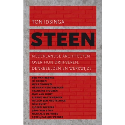 Afbeelding van Steen (Paperback)