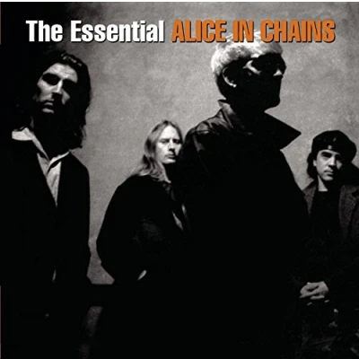 Afbeelding van Alice In Chains Essential Ch.2cd