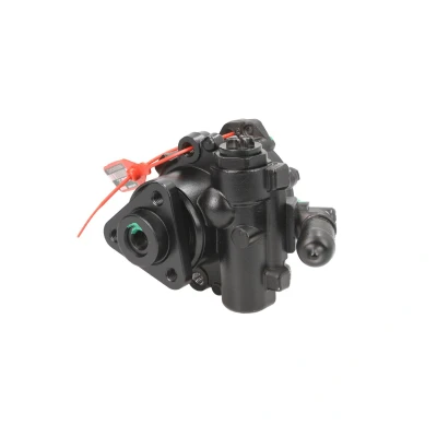 Afbeelding van Lauber Servopomp 55.0313