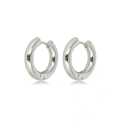 Afbeelding van Brede zilverkleurige oorring 20x4 mm Klassieke grote Met luxe cadeauverpakking