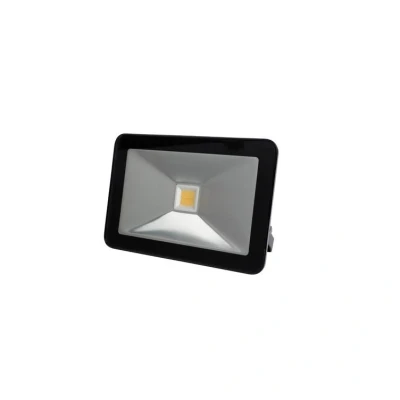 Afbeelding van 10W LED schijnwerper 750 Lumen Warm wit