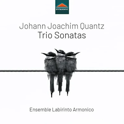 Afbeelding van Ensemble Labirinto Armonico Trio Sonatas (CD)