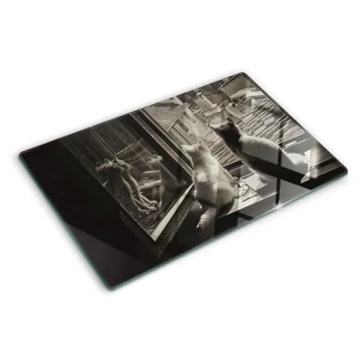 Afbeelding van Tulup Glazen Snijplank Zwart en wit Katten in het raam Anti Slip 80 x 52 cm glas Groot Formaat Dienblad van Serveerplank Kookbenodigdheden
