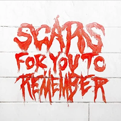 Afbeelding van Varials Scars For You To Remember (LP)