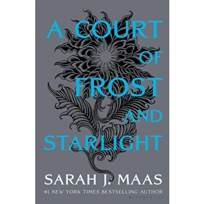 Afbeelding van A Court of Frost and Starlight: 4