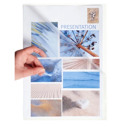 Afbeelding van Etui carton de 100 pochettes coin stop doc polypropylene lisse 11x100e a4