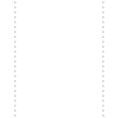 Afbeelding van 2000 feuilles de listing blanc 240x12&quot; 1pli bandes caroll detachables 70g