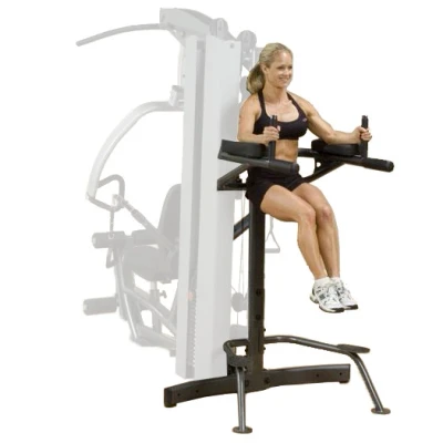 Afbeelding van Body Solid FKR Vertical Knee Raise attachment