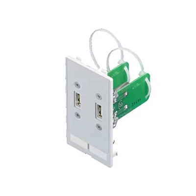Afbeelding van Rittal sz interfacedeksels modulair interfacemodulen 2 x usb uitvoering a bus 2482540