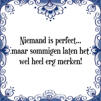 Afbeelding van Niemand is perfect... maar sommigen laten het we Tegeltje + Spreuk
